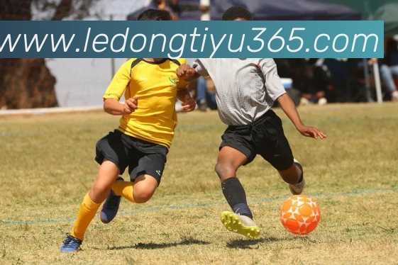 乐动体育APP 高清赛事图